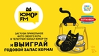 Годовой запас корма для вашего любимца: «Юмор FM» проводит конкурс в честь Всемирного дня кошек 