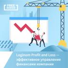 Loginom Profit and Loss — эффективное управление финансами компании